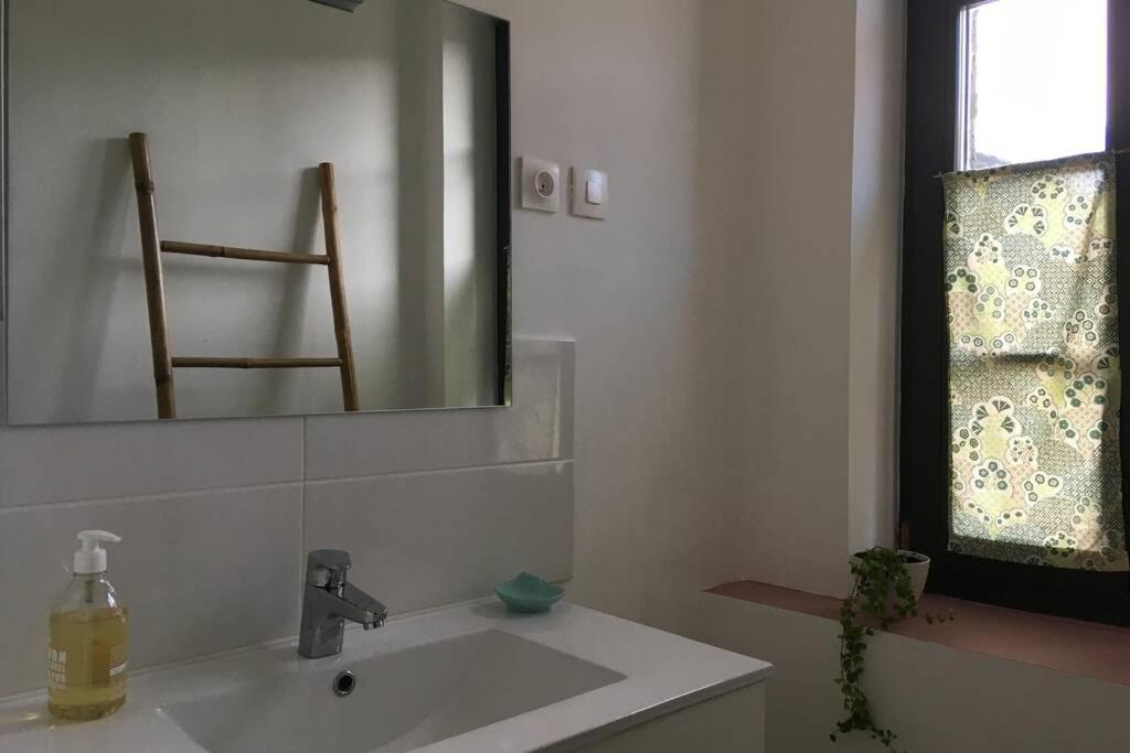 Appartement De 75 M2 Dans Maison Familiale Saint-Antonin-Noble-Val エクステリア 写真